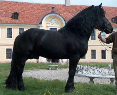 Palac Brody Dış mekan fotoğraf